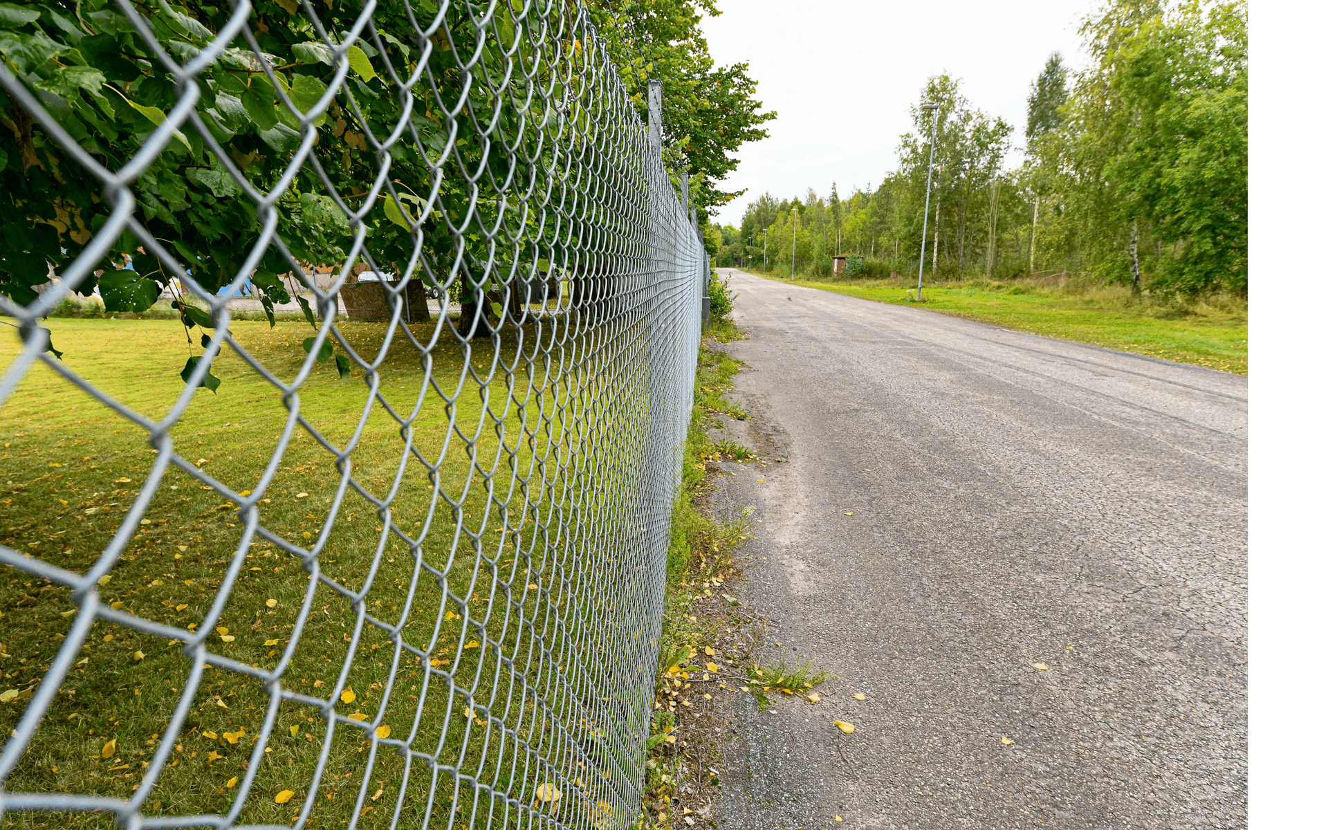 Boundary Fence