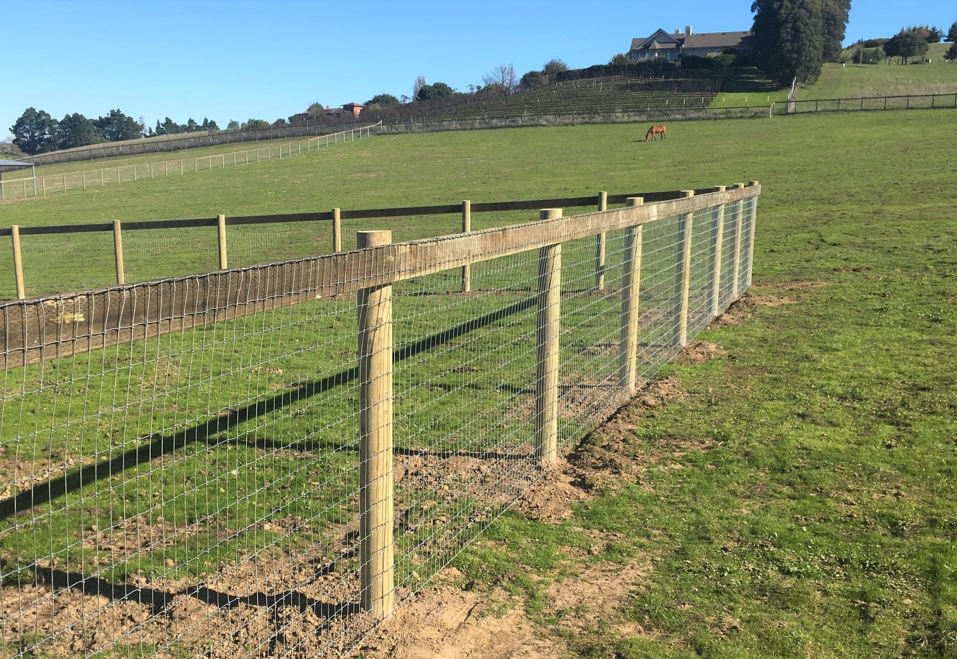 5 Signs It's Time to Replace Your Fence