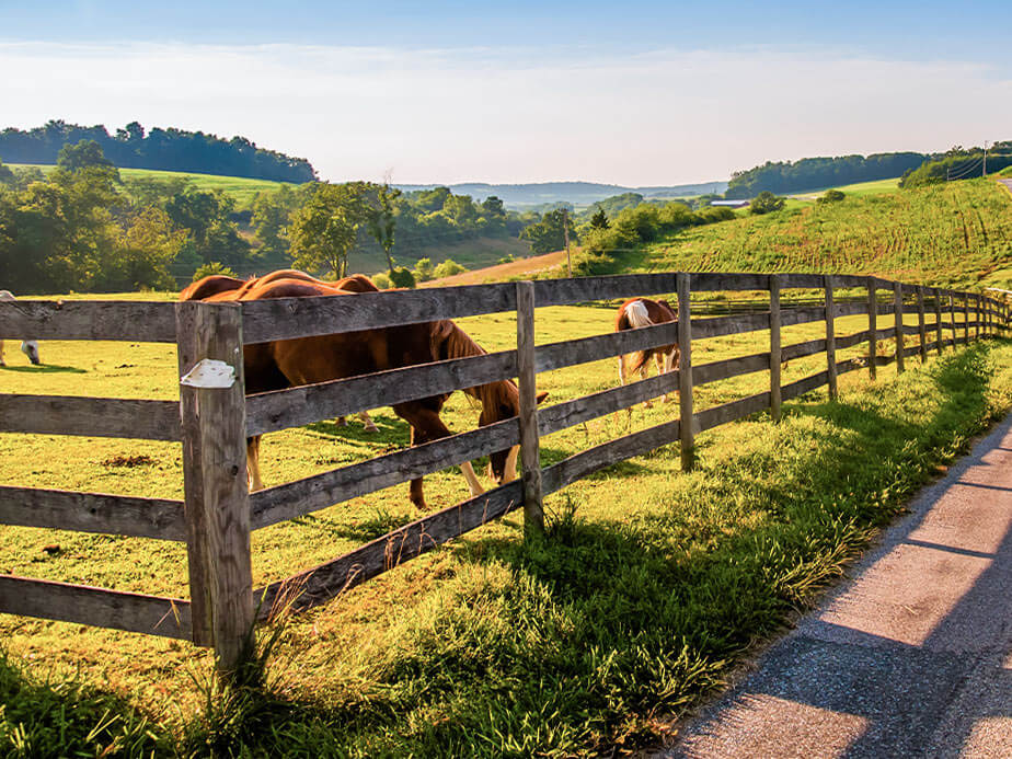 Farm fence installation in Wyoming